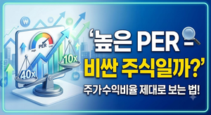 PER이 높으면 비싼 주식일까? 주가수익비율을 제대로 보는 방법